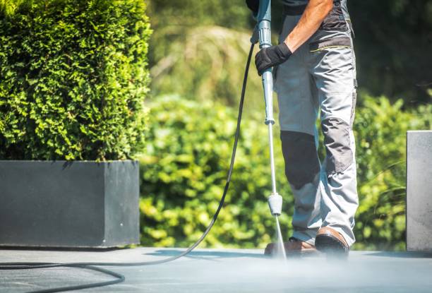 Best Solar Panel Cleaning  in South Gate Ridge, FL