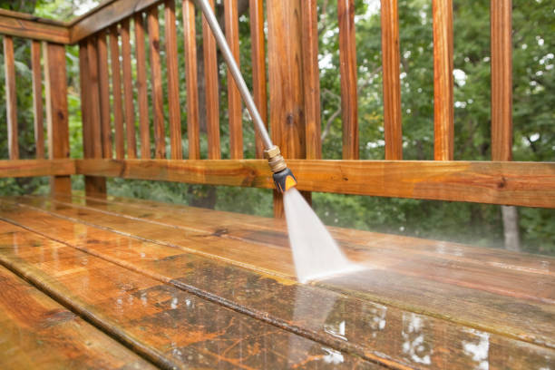 Boat and Dock Cleaning in South Gate Ridge, FL